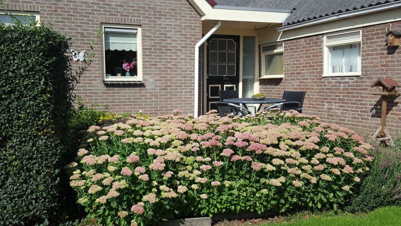 Wetering Vakantiehuis De Wilgenhof מראה חיצוני תמונה